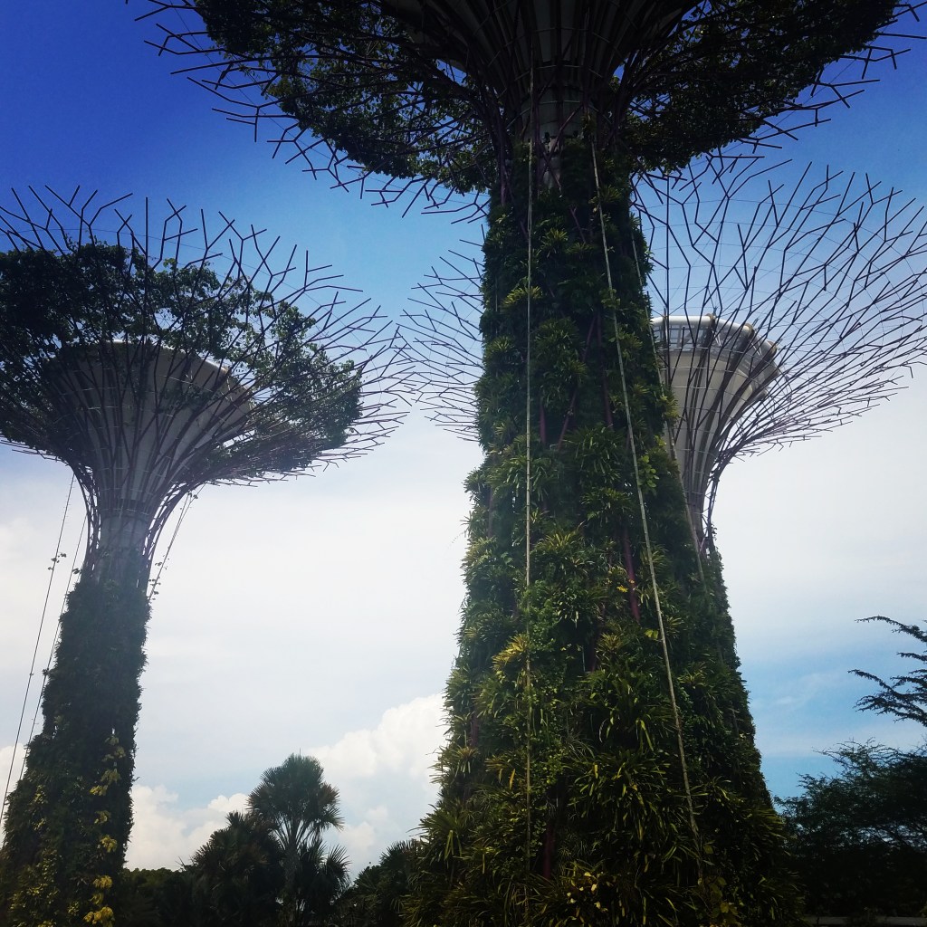 Watch “A view from the top of the Supertree Grove” on&nbsp;YouTube